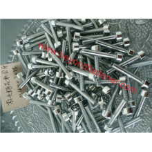 Serration Screw Torx Screw Garden Machinery Screw Tornillo Nyloc